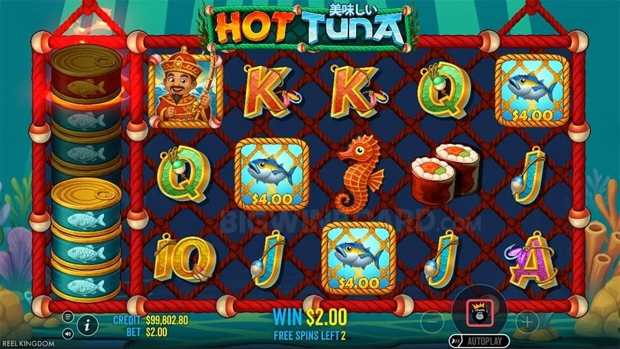 phjoy Sports Betting Guide for Beginners and Advanced Players