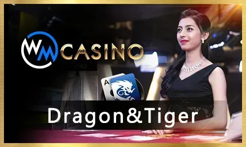 plus77 CS:GO Betting